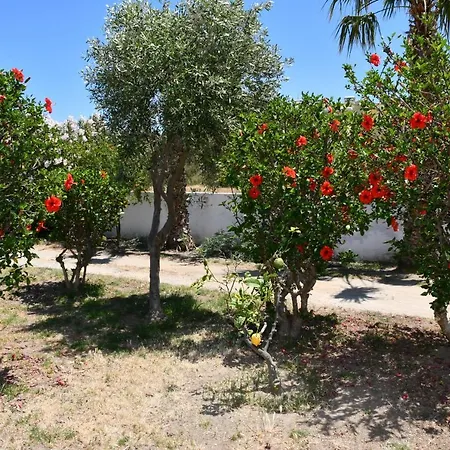 Lejlighed Kos Olympia Apartments At Lambi Beach